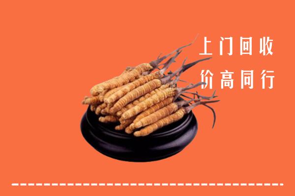 高价求购：东阳市回收散虫草